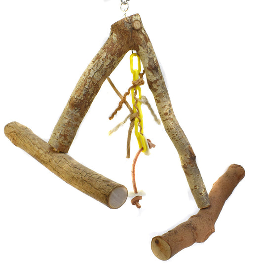 Lets Swing! Medium Parrot - 1005 🍁