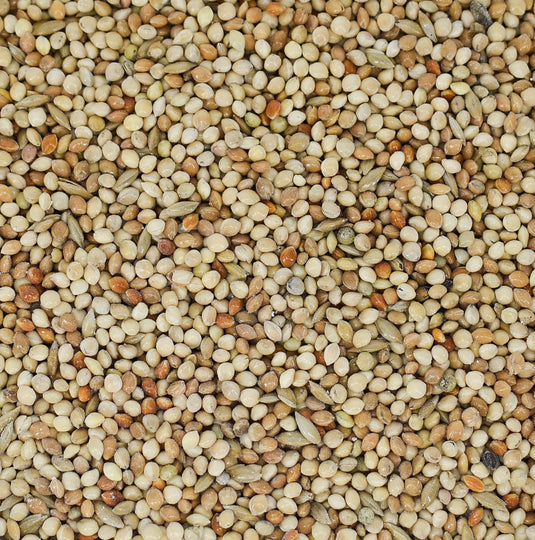 Cage Bird Finch Seed by Conestogo Bird Seed Company - Exotic Wings and Pet Things