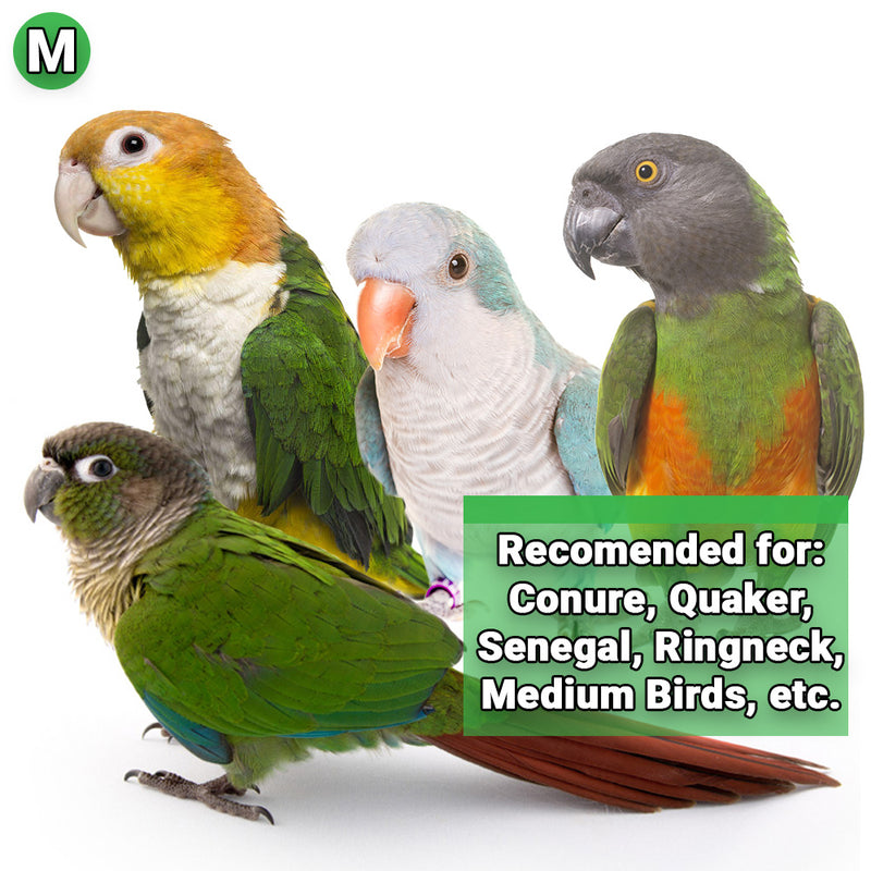 Load image into Gallery viewer, HARI Smart Play Enrichment Parrot Toy Venus