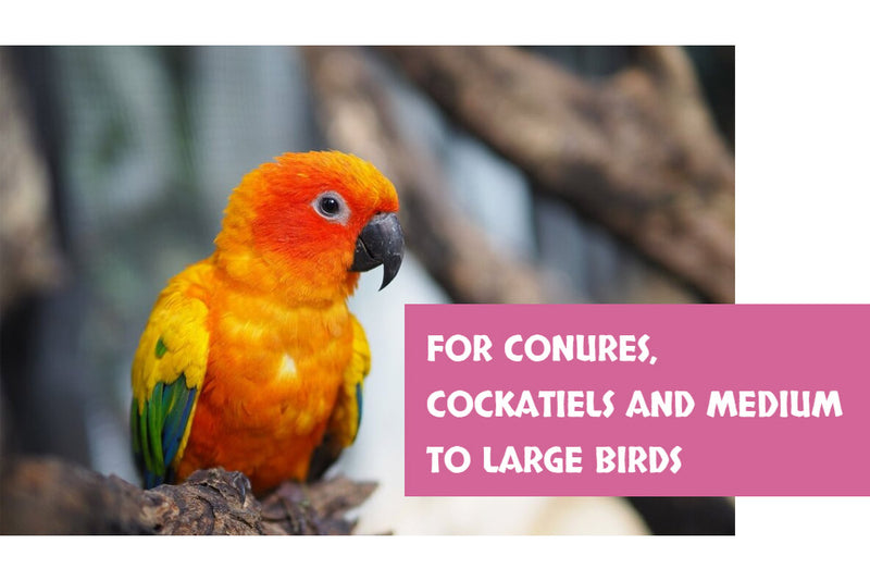 Load image into Gallery viewer, Goldenfeast South American Blend