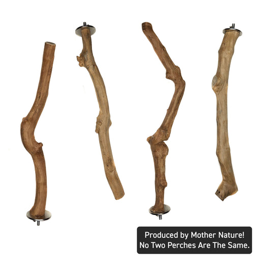 Java Single Branch Coffee Wood Parrot Perch