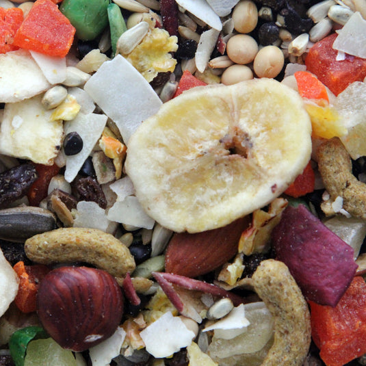 Higgins Sunburst Treats Fruit to Nuts