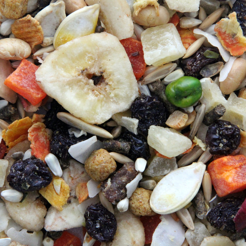 Load image into Gallery viewer, Higgins Sunburst Treats Fruits & Veggies Large Bird