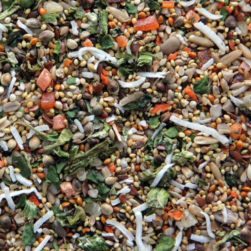 Load image into Gallery viewer, Higgins Sunburst Treats Fruits & Veggies Small Bird