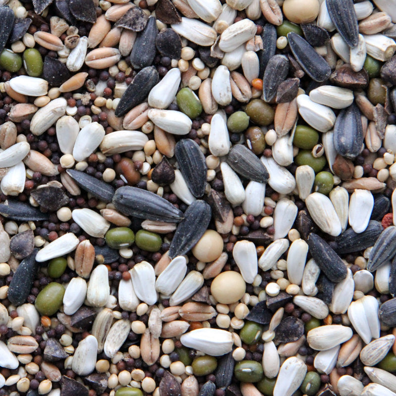 Load image into Gallery viewer, Higgins Sunburst Treats Soak and Sprout