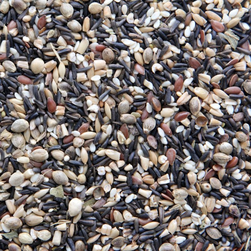 Load image into Gallery viewer, Higgins Sunburst Treats Song Food