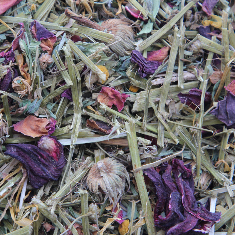 Load image into Gallery viewer, Higgins Sunburst Gourmet Natural Treats Wild Flower Meadow