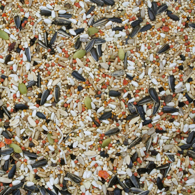 Load image into Gallery viewer, Higgins Sunburst Gourmet Blend Cockatiel Seed Mix - Exotic Wings and Pet Things