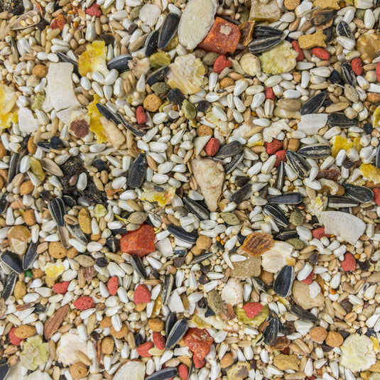 Higgins Sunburst Gourmet Blend Conure Seed Mix - Exotic Wings and Pet Things