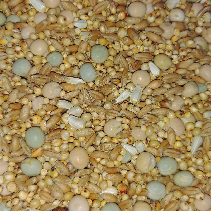 Load image into Gallery viewer, Super Racer Pigeon Mix 18 kg - Exotic Wings and Pet Things