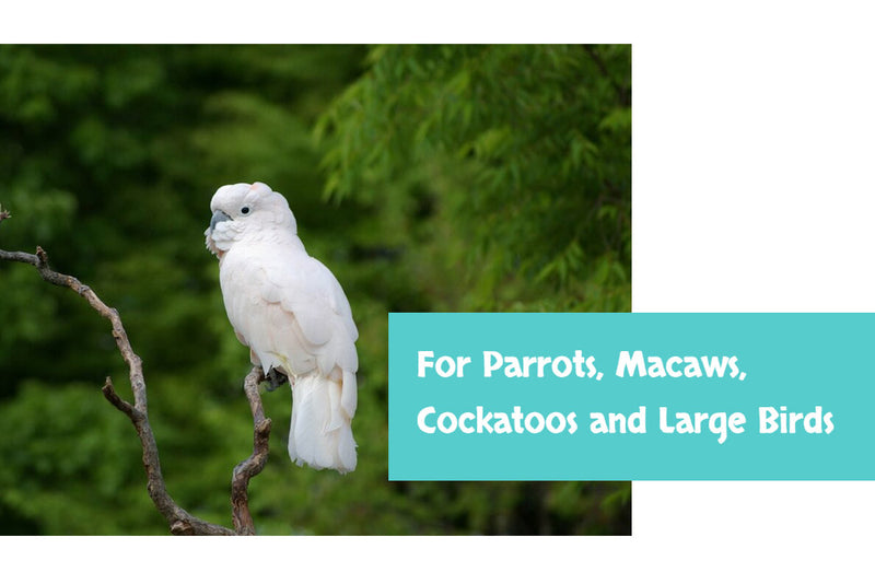 Load image into Gallery viewer, Goldenfeast Tropical Fruit Mix