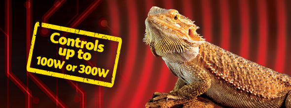 Load image into Gallery viewer, Exo Terra Reptile ON/OFF Electronic Thermostat