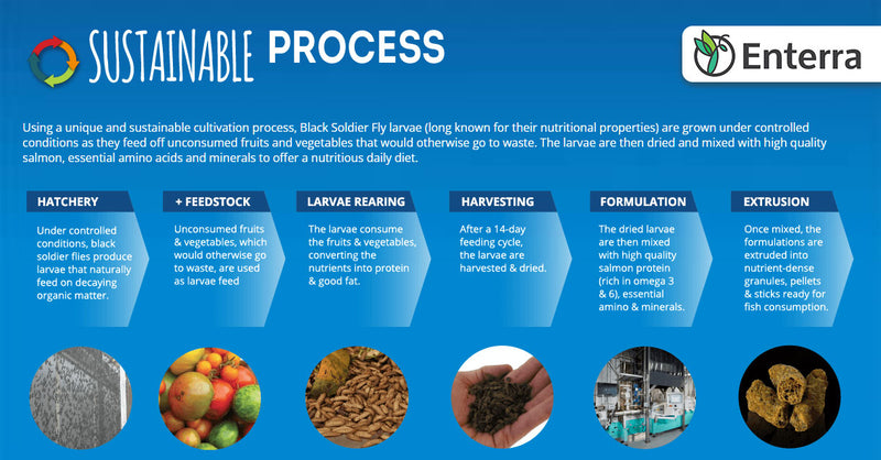 Load image into Gallery viewer, Bug Bites Small-Medium Cichlid Granules - 45g (1.6 oz)