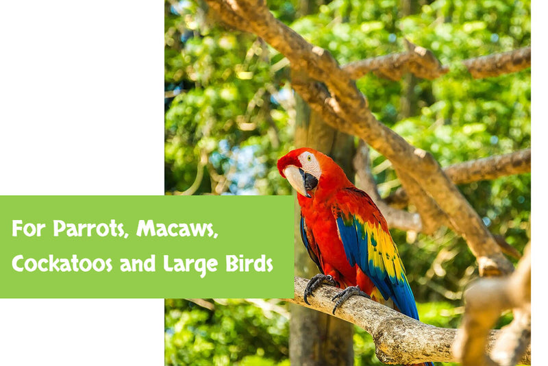 Load image into Gallery viewer, Goldenfeast Veggie Fruit Crunch Mix