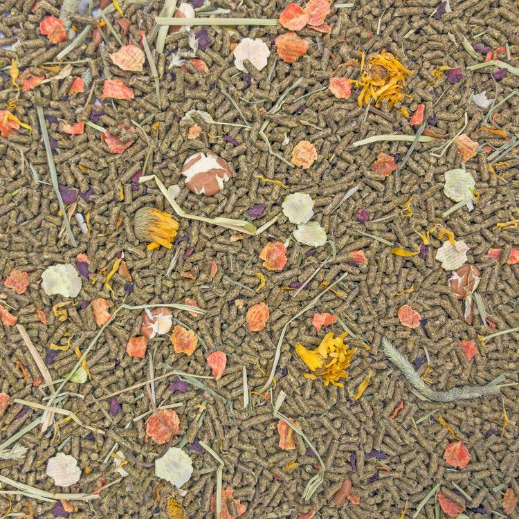 Load image into Gallery viewer, Higgins Vita Garden Grain Free Adult Rabbit Food