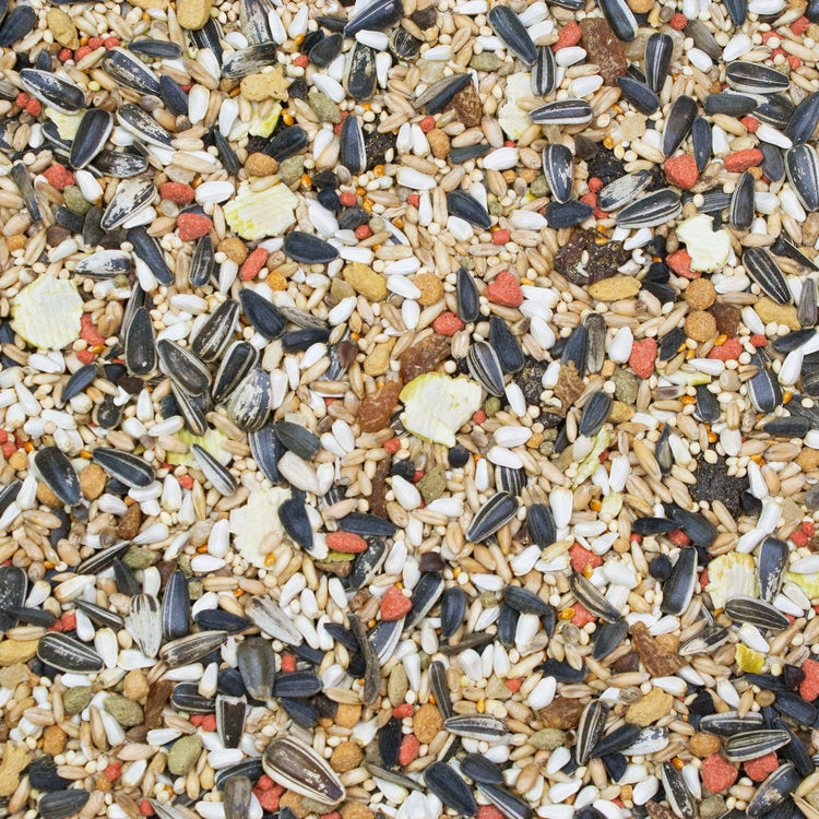 Load image into Gallery viewer, Higgins Vita Seed Cockatiel - Exotic Wings and Pet Things