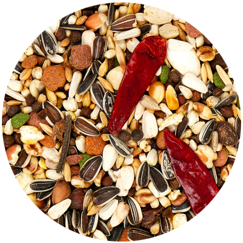 Versele-Laga Premium Prestige Loro Parque African Parrot Seed