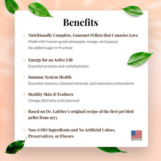 Lafeber's Tropical Fruit Gourmet Canary Pellet