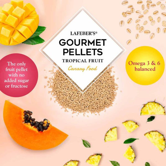 Lafeber's Tropical Fruit Gourmet Canary Pellet