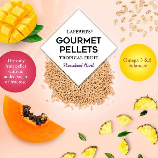 Lafeber's Tropical Fruit Gourmet Budgie/Parakeet Pellet