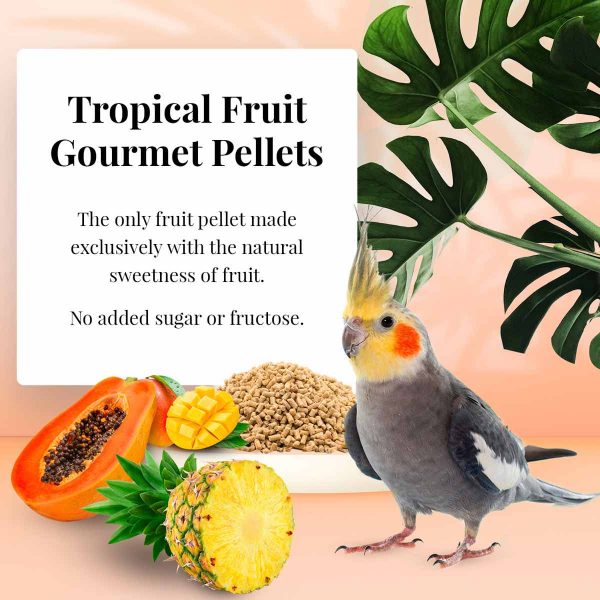 Load image into Gallery viewer, Lafeber's Tropical Fruit Gourmet Cockatiel / Small Bird Pellet