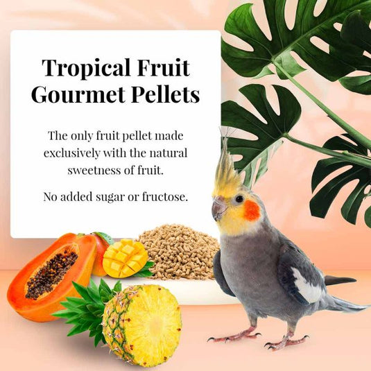 Lafeber's Tropical Fruit Gourmet Cockatiel / Small Bird Pellet