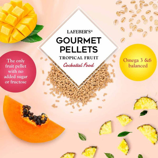 Lafeber's Tropical Fruit Gourmet Cockatiel / Small Bird Pellet