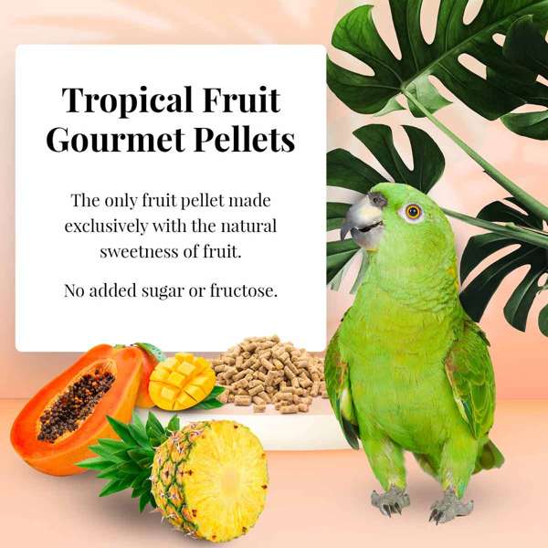 Load image into Gallery viewer, Lafeber's Tropical Fruit Gourmet Amazon/Parrot Pellet