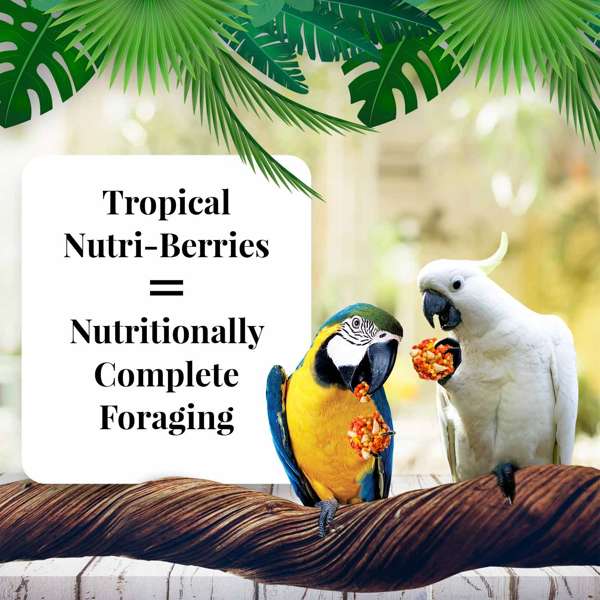 Load image into Gallery viewer, Lafeber's Tropical Fruit Gourmet Nutri-Berries Macaw/Cockatoo