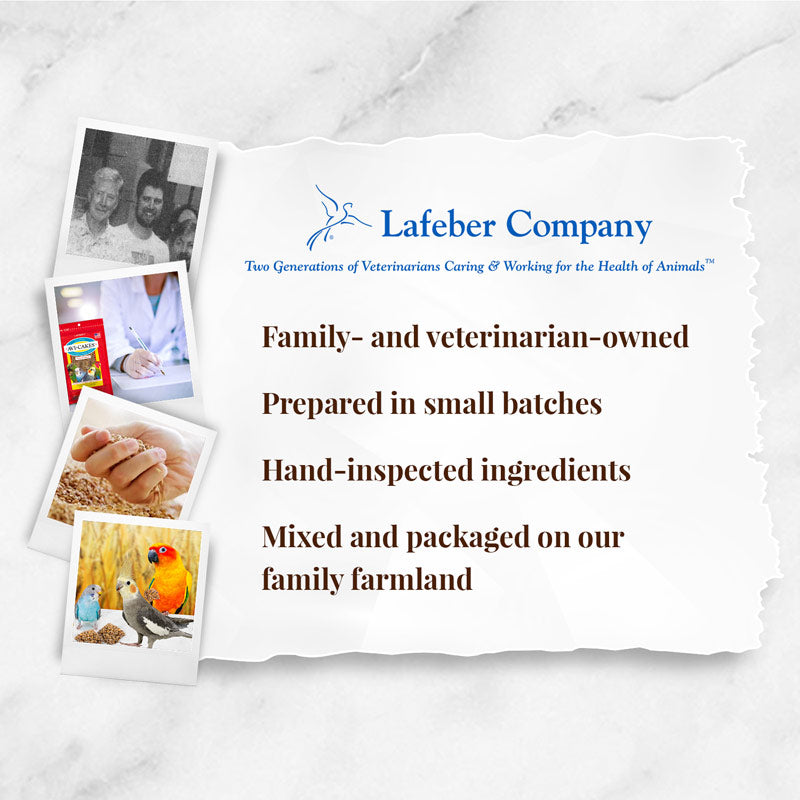 Load image into Gallery viewer, Lafeber's Classic Avi-Cakes Small Bird