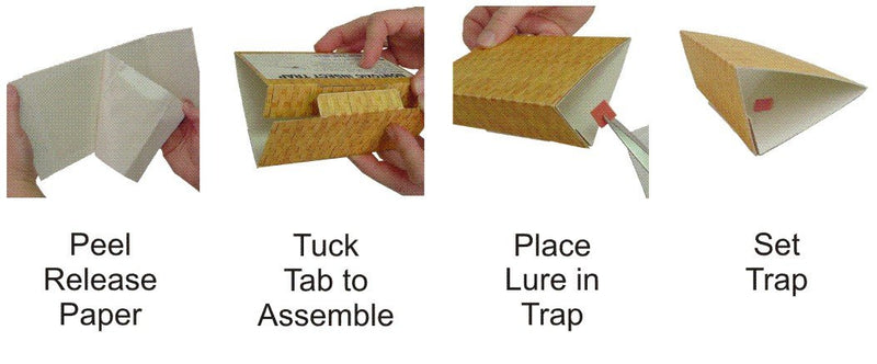 Load image into Gallery viewer, BioCare Birdseed Moth Traps - 2 Pack