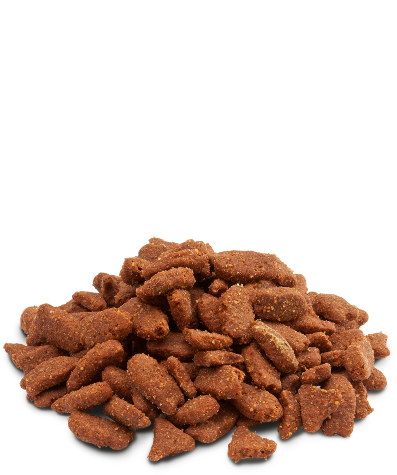 Load image into Gallery viewer, Versele-Laga Crispy Pellets Ferret - Exotic Wings and Pet Things