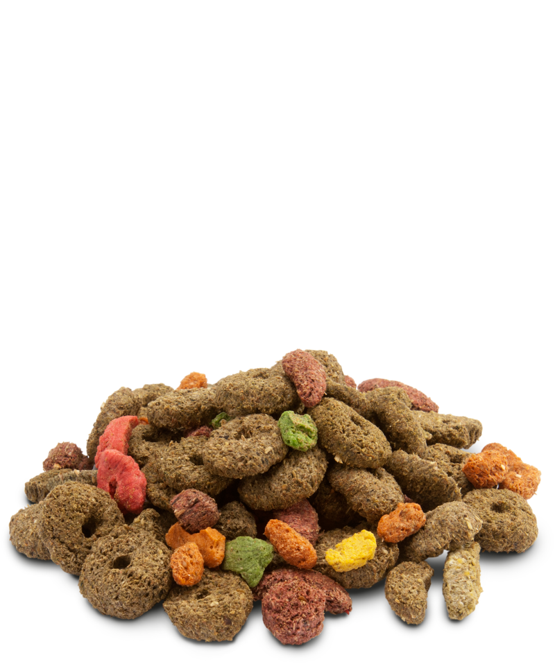 Load image into Gallery viewer, Versele-Laga Crispy Snack Fibres Rabbit/Guinea Pig/Chinchilla/Degu - Exotic Wings and Pet Things