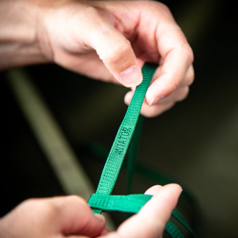 Load image into Gallery viewer, The Aviator Harness Petite (Cockatiel / Small Conure)