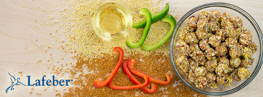 Lafeber's El Paso Gourmet Nutri-Berries Parrot