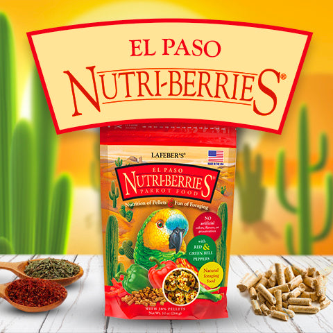 Lafeber's El Paso Gourmet Nutri-Berries Parrot