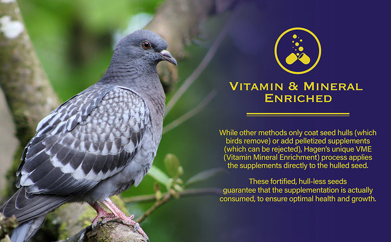 Load image into Gallery viewer, Hagen Pigeon & Dove Staple VME Seed - Exotic Wings and Pet Things