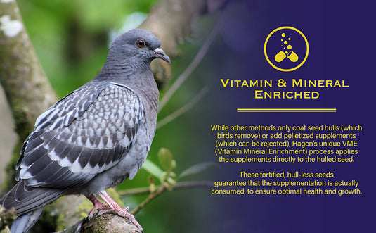 Hagen Pigeon & Dove Staple VME Seed - Exotic Wings and Pet Things