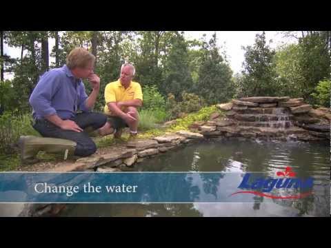 Load and play video in Gallery viewer, #Options_Laguna PowerJet 600 Fountain/Waterfall Pump Kit