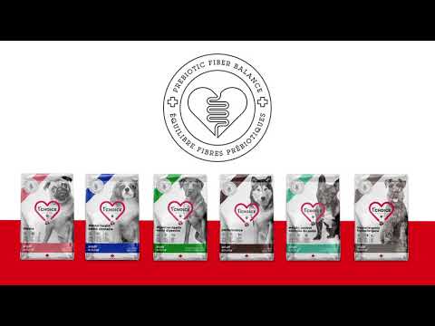 Load and play video in Gallery viewer, 1st Choice Dental Health Adult Dog Food - Chicken Formula 🍁