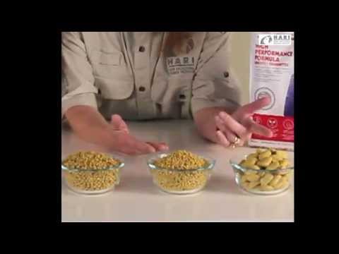 Load and play video in Gallery viewer, Tropican High Performance 4mm Granules - Parrots 🍁