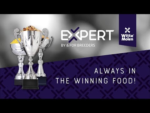 Load and play video in Gallery viewer, Witte Molen Expert Yellow Eggfood Moist Finch & Canary / Parrot