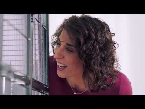 Load and play video in Gallery viewer, ZuPreem FruitBlend Daily Nutrition Parrot & Conure Pellet