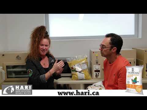 Load and play video in Gallery viewer, Tropican Hand-Feeding Formula - All Birds š