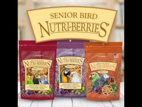 Load and play video in Gallery viewer, Lafeber's Senior Blend Nutri-Berries Parrot