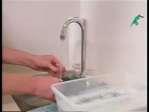 Load and play video in Gallery viewer, Kaytee Exact Hand-Feeding Formula for Baby Birds