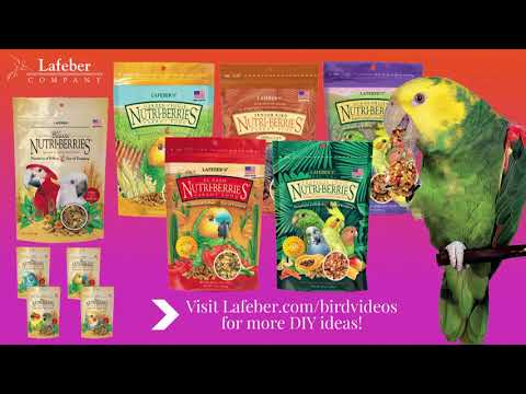 Load and play video in Gallery viewer, Lafeber's Garden Veggie Gourmet Nutri-Berries Parrot