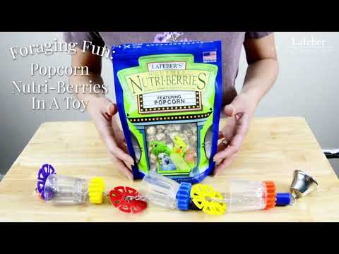 Load and play video in Gallery viewer, Lafeber's Popcorn Nutri-Berries - Small Bird