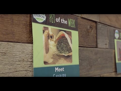 Load and play video in Gallery viewer, Oxbow Garden Select Adult Rabbit Food