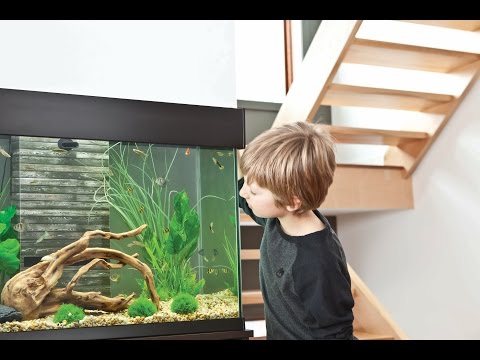 Load and play video in Gallery viewer, Bug Bites Medium-Large Colour Enhancing